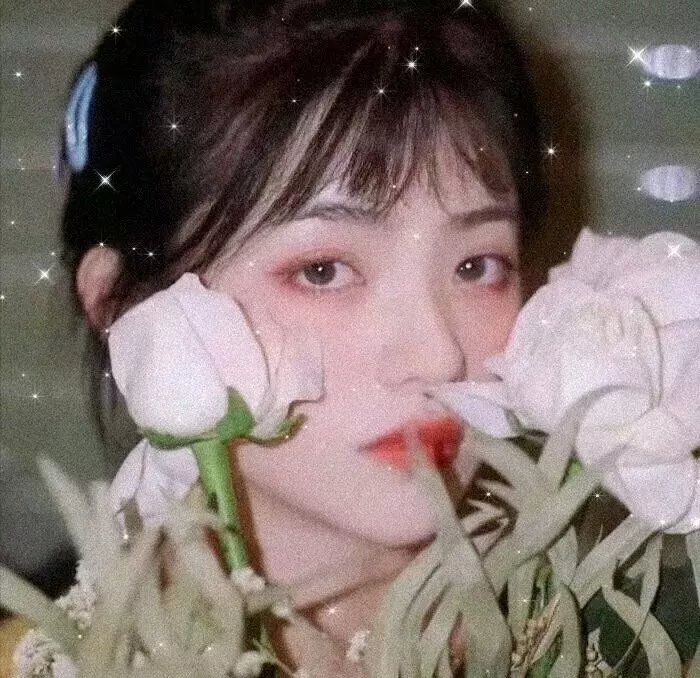 信蜂